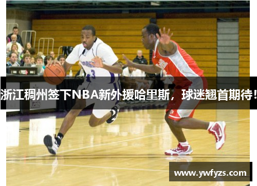 浙江稠州签下NBA新外援哈里斯,球迷翘首期待!